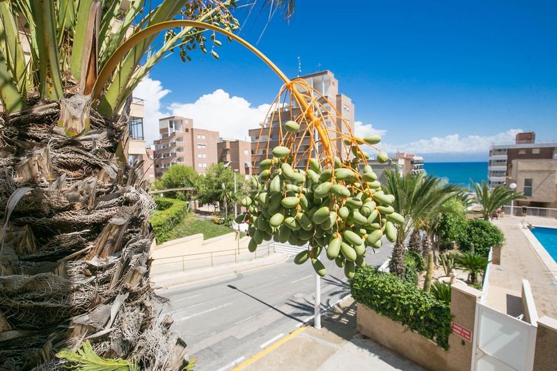 Foto d9a5f23d-5754-48f5-b76f-4cf1af92f416. Apartament amb piscina a Los Arenales del Sol Elche / Elx