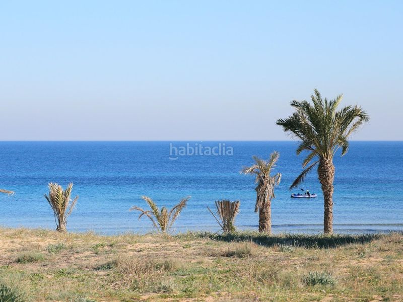 Foto f2085718-4941-485a-b6cf-3afb12ca592a. Apartament amb piscina a Los Arenales del Sol Elche / Elx