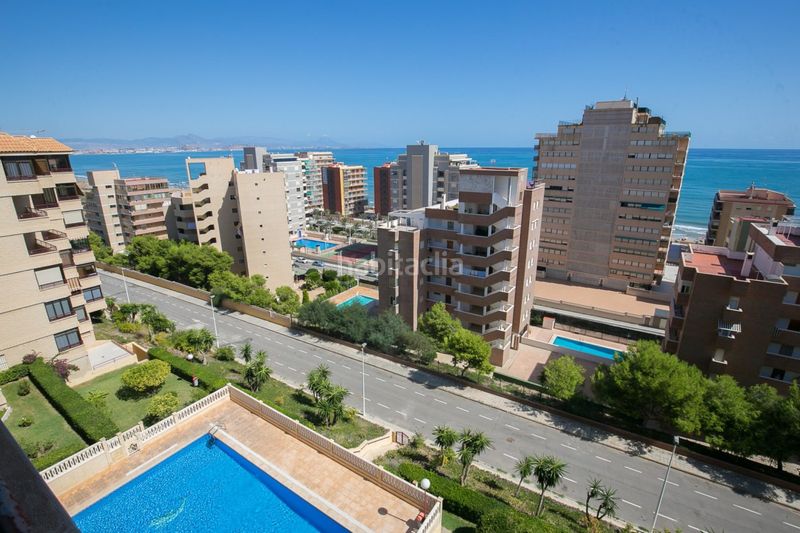 Foto 725840d6-04b4-4a2a-9242-535132910335. Affitto piccolo appartamento con parcheggio piscina in Elche / Elx