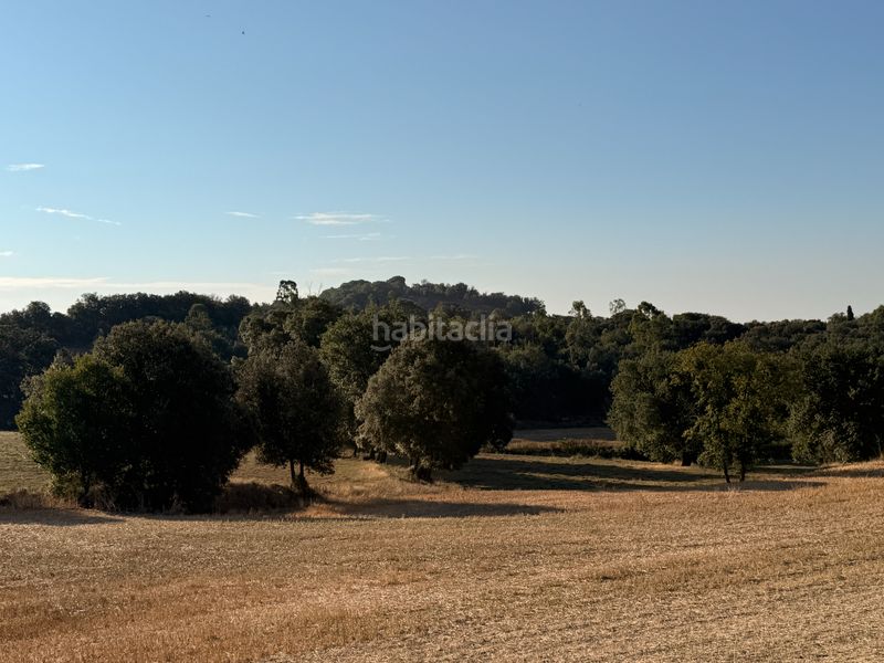 Foto 406d5091-2e62-4010-8e97-bdd4441774ab. Masia a Vilobí d´Onyar