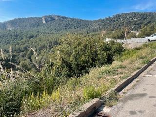 Residential Plot in Carretera can cases 63