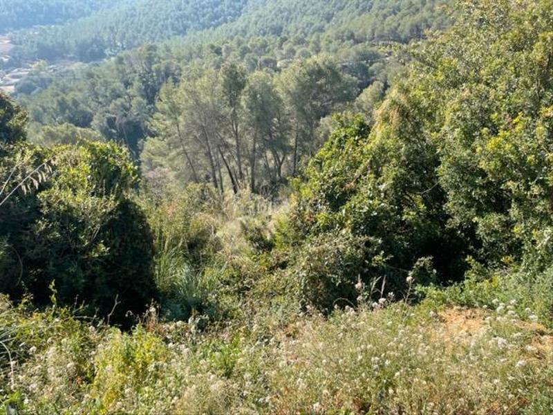 Foto f2bdb04d-0047-4258-8744-e581f73cf503. Terreny residencial a carretera can cases 63 a Vallirana