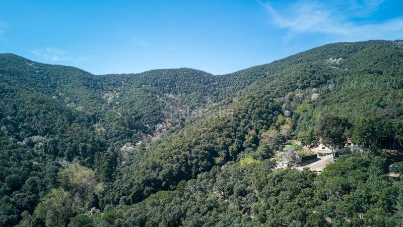 Foto 0076d203-dd2e-458b-a1de-6239fedc5037. Bauernhof in carrer hortsavinya 16 in Tordera Tordera