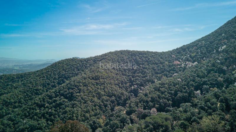 Foto 0f790c4f-f08d-4040-a7f6-867387094a5d. Bauernhof in carrer hortsavinya 16 in Tordera Tordera
