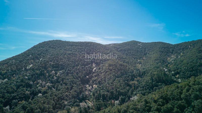 Foto 43445f36-7209-4f86-8d40-165ae07bd0c3. Bauernhof in carrer hortsavinya 16 in Tordera Tordera