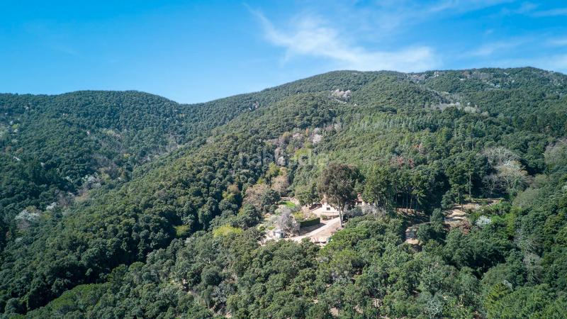 Foto 49182a87-8ee3-4641-b829-d31a47820547. Bauernhof in carrer hortsavinya 16 in Tordera Tordera