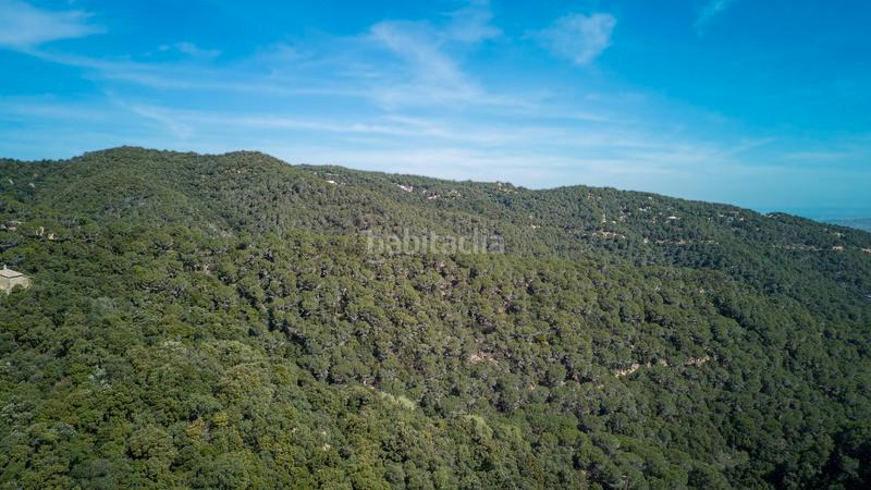 Foto 7e29ba01-dd52-4ebd-b5dc-096aa073cfb3. Bauernhof in carrer hortsavinya 16 in Tordera Tordera