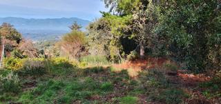 Terreno residencial en Carrer camperol 27. Solar edificable en la urbanizacin canad park