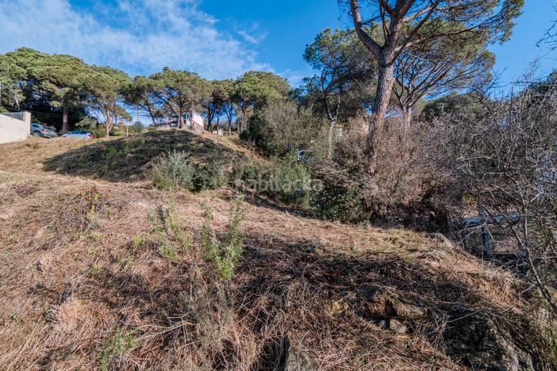 Foto 3856034a-461f-4f92-b416-937e63025ad3. Wohngrundstück in carrer roure 5 in Dosrius poble Dosrius