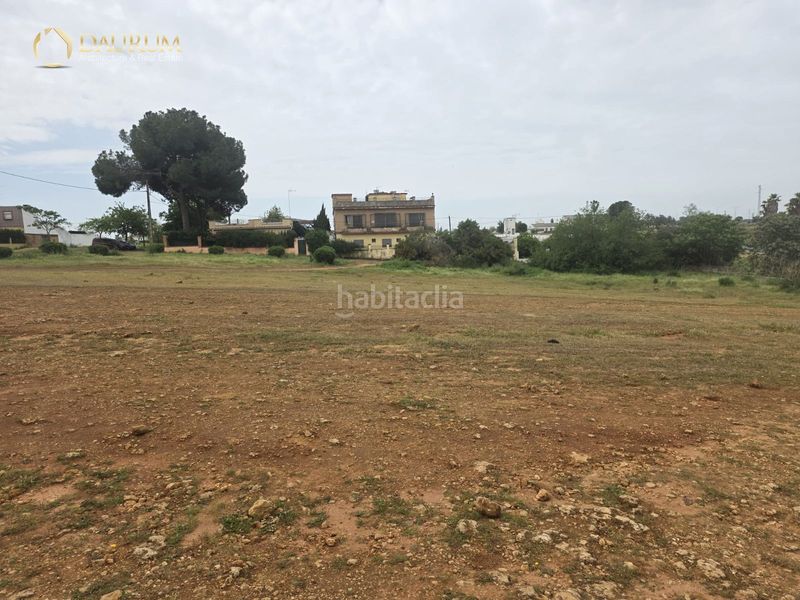 Foto 9ba14f8c-e873-43ea-9ca8-42303412ebe5. Finca rústica a Centro Alcalá de Guadaira