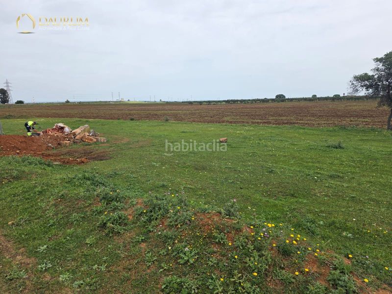 Foto 5a6597be-9133-4f84-865d-7f5551732679. Finca rústica a Centro Alcalá de Guadaira