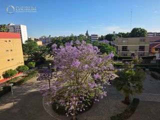 Pis  Avenida de la paz. Increible oportunidad de piso en av. de la paz  sevilla