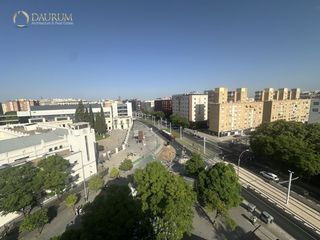 Pis a RAMON Y CAJAL