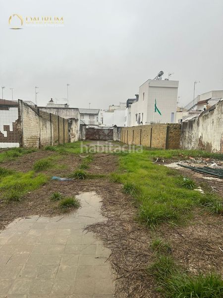 Foto 29028381-bc4c-492b-bf7e-ca47e7ca7e27. Casa amb piscina a Centro Bormujos