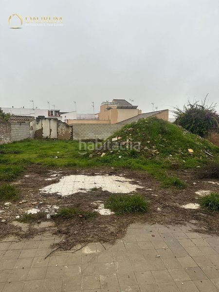 Foto 4400c8ca-1e1d-494a-bdde-86a431cd1936. Casa amb piscina a Centro Bormujos