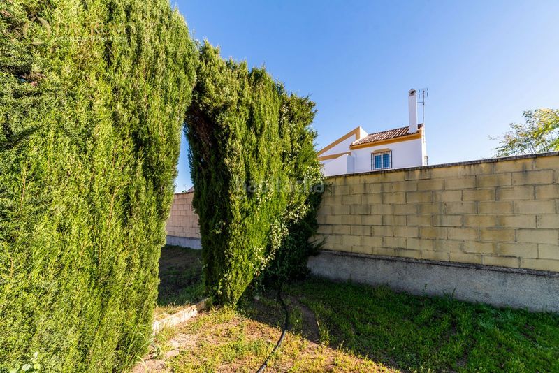 Foto 17f35171-4a41-4d5d-85d2-02abd31e04ca. Casa amb aparcament a Loreto Espartinas