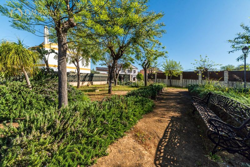 Foto 44af4b8a-b273-492f-9829-369fe2c2fd7c. Casa amb aparcament a Loreto Espartinas