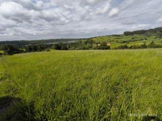 Mas à Corvera de Asturias. Corverafinca de recreo