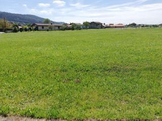 Terrain résidentiel à Sariego