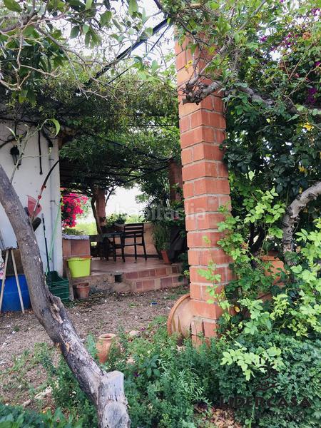 Foto 2dc5cc8d-cc07-490f-91ed-6efcca8dd427. Chalet en Centro Fuente Álamo de Murcia