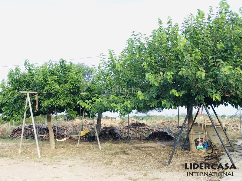 Foto a5c9b1c7-8534-4af8-b5d6-83556ca35004. Chalet en Centro Fuente Álamo de Murcia