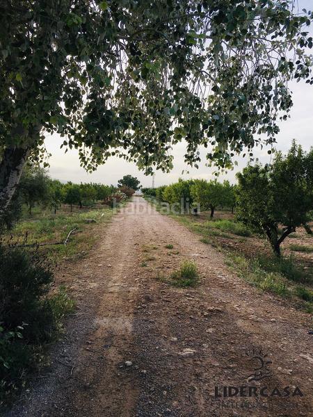 Foto 6818902e-0dc1-4f2f-880d-7980ef8b7ed0. Chalet mit parking in Centro Fuente Álamo de Murcia