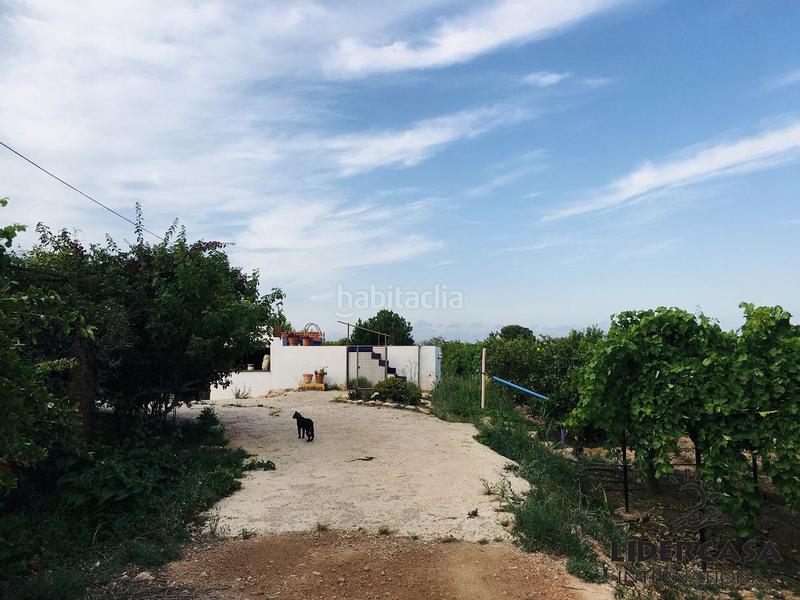 Foto 26d4514e-2166-481e-b2bc-de9ba17c87e1. Chalet avec parking dans Centro Fuente Álamo de Murcia