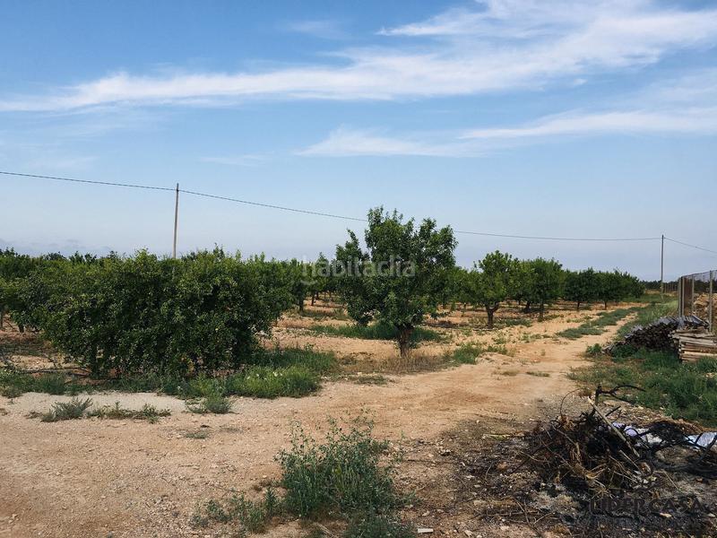 Foto 995371e7-80ca-4bda-9de9-28bad9d85c50. Chalet avec parking dans Centro Fuente Álamo de Murcia