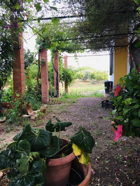 Foto d4872414-7a92-4566-9d79-2a71b1a056fb. Xalet amb aparcament a Centro Fuente Álamo de Murcia