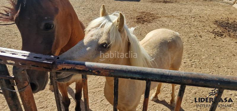 Foto 342d570c-b570-4c11-8de4-2724e8032140. Chalet with parking pool in Alhama de Murcia ciudad Alhama de Murcia