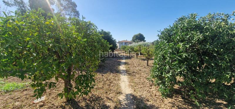 Foto 63e2ab50-b101-44b0-9d8c-9520de26c6ae. Chalet en Alhama de Murcia ciudad Alhama de Murcia