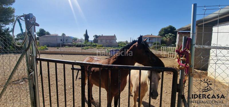 Foto 89478852-9ddd-4e54-8273-ce25d4eeafdf. Chalet en Alhama de Murcia ciudad Alhama de Murcia