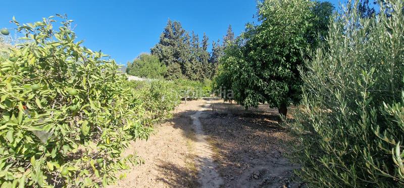 Foto 976558ed-922f-494e-9dc5-23edf96d2093. Chalet en Alhama de Murcia ciudad Alhama de Murcia