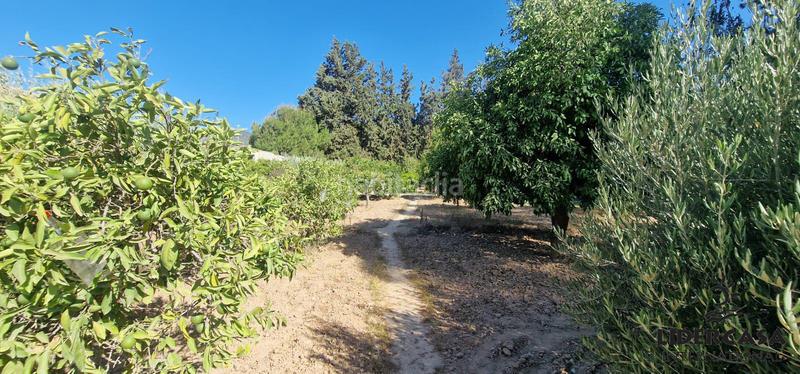 Foto c8f76f08-f0d2-4b5b-ad10-33f82cab040c. Chalet en Alhama de Murcia ciudad Alhama de Murcia