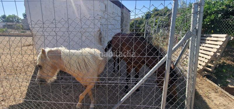 Foto fe8ac187-2f2b-41c4-9669-c9bc12839a31. Chalet en Alhama de Murcia ciudad Alhama de Murcia