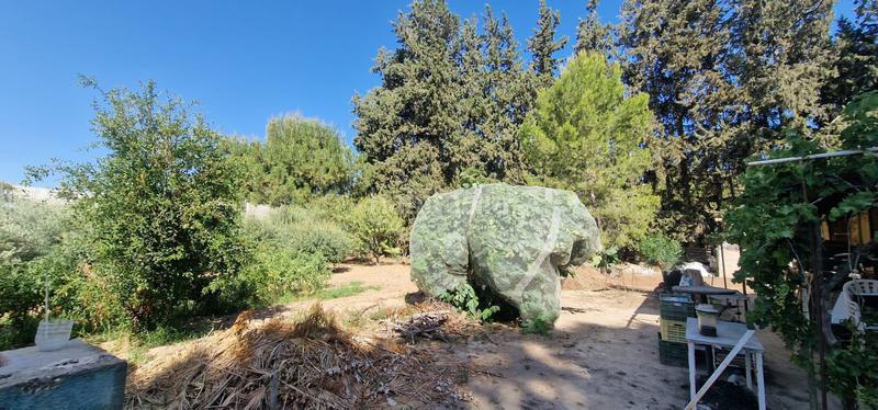 Foto 48734745-5963-4145-8194-70dee058b1a4. Xalet amb aparcament piscina a Alhama de Murcia ciudad Alhama de Murcia