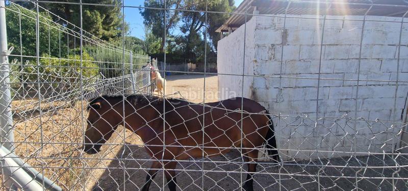 Foto 4b08b651-da3b-4df3-aa60-82859b65bf68. Xalet amb aparcament piscina a Alhama de Murcia ciudad Alhama de Murcia