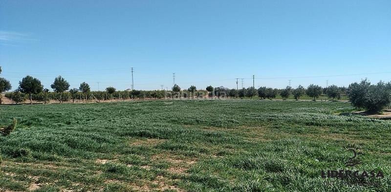 Foto f61f912d-efcf-4d7a-9207-37b403f9c983. Terreno residenziale in Los Martínez del Puerto Murcia