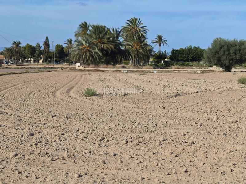 Foto 036d8fbb-b586-4670-be52-22d62f9ccb3a. Propriété dans n/a dans La Algoda - Matola - Llano de San José Elche / Elx