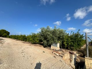 Fondo rustico in Camino viejo de elche a santa pola 11. Espectacular terreno en pusol para construir