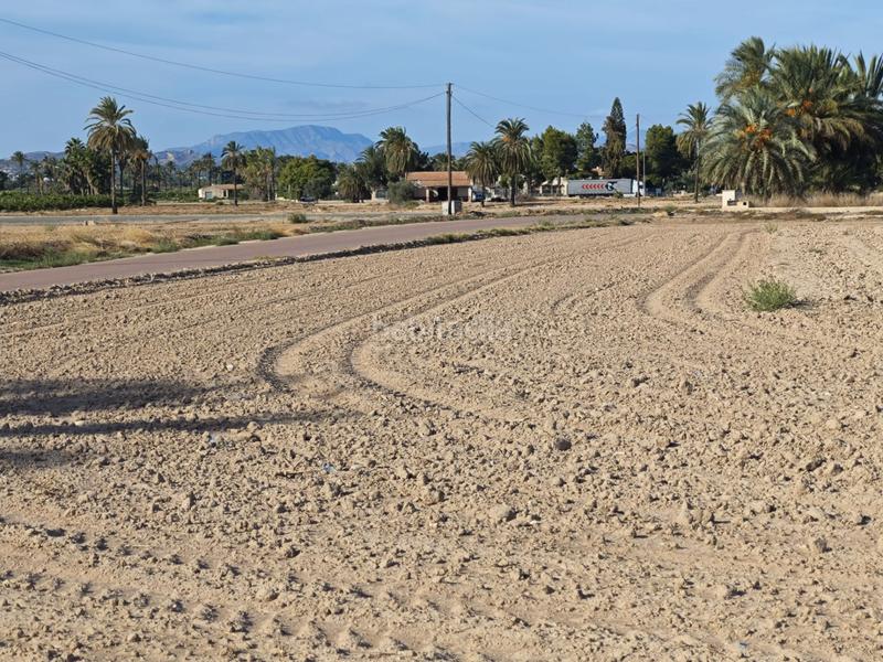 Foto 95506ba5-49a9-4a61-a53e-f764514ac26c. Propriété dans n/a dans La Algoda - Matola - Llano de San José Elche / Elx