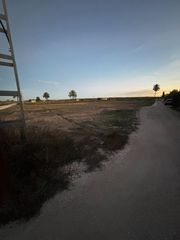 Fondo rustico in La Marina. Parcela venta el molar ocasión