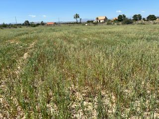 Fondo rustico in Valverde. Venta parcelas ocasión a 1km mar arenales del sol