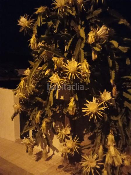 Foto 4f3d178a-0de3-48a6-bece-1bce6b300a4b. Casa adosada en Armeñime - Las Moraditas - Las Cancelas Adeje