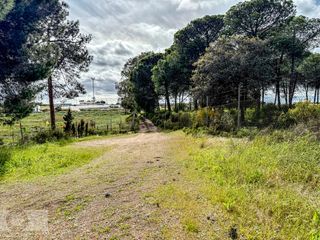 Bauernhof  Plaza casablanca. Finca en lepe