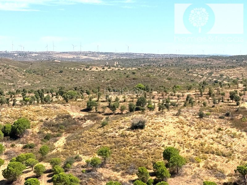 Foto b40dcca6-dde6-473d-9348-b914935ef65d. Pis a calle lope de rueda 1 a Costa Esuri Ayamonte