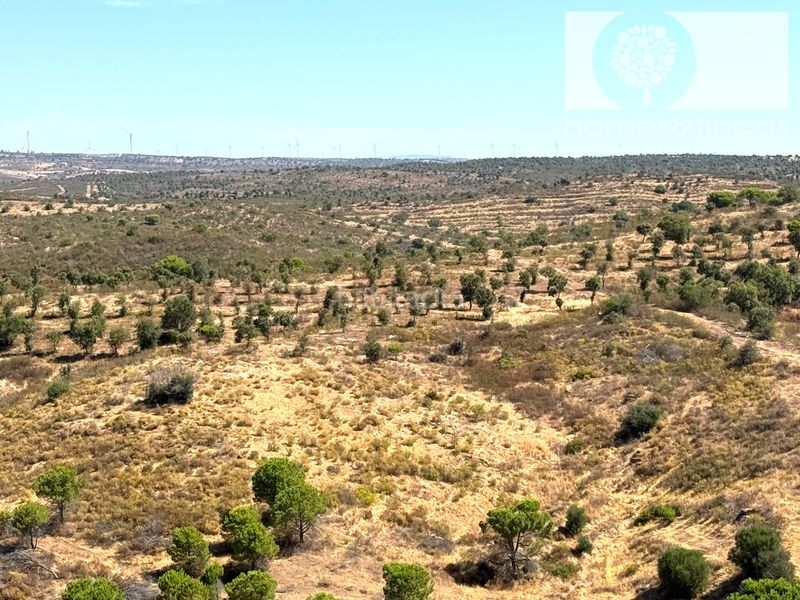 Foto cf74cc7a-dedb-47b7-8a94-4e94de85b3cc. Pis a calle lope de rueda 1 a Costa Esuri Ayamonte