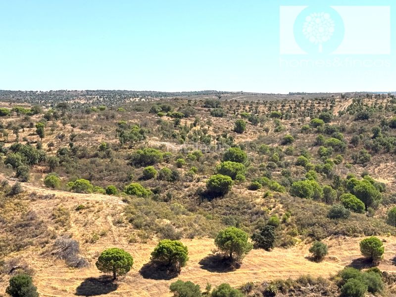 Foto fe0defd3-b3d3-4fe6-9a8b-3996068ca4b1. Pis a calle lope de rueda 1 a Costa Esuri Ayamonte