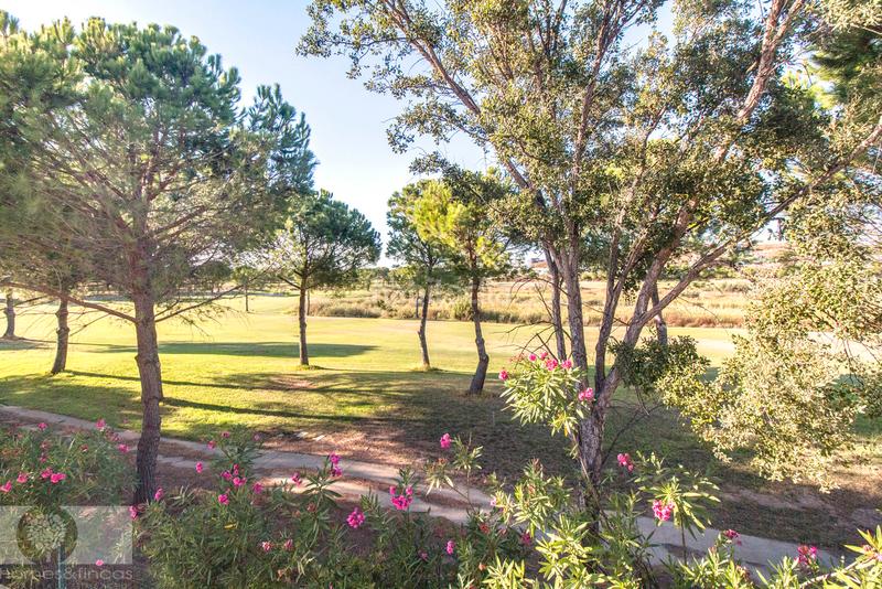 Foto c427f7ce-d5ed-41c4-867f-fae4105e09dc. Xalet amb xemeneia aparcament piscina a Costa Esuri Ayamonte