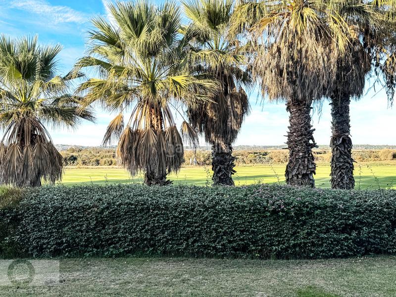 Foto 6c8d7551-5c17-40cc-8ccd-24f7dff37c6d. Pis amb piscina a Isla Canela Ayamonte